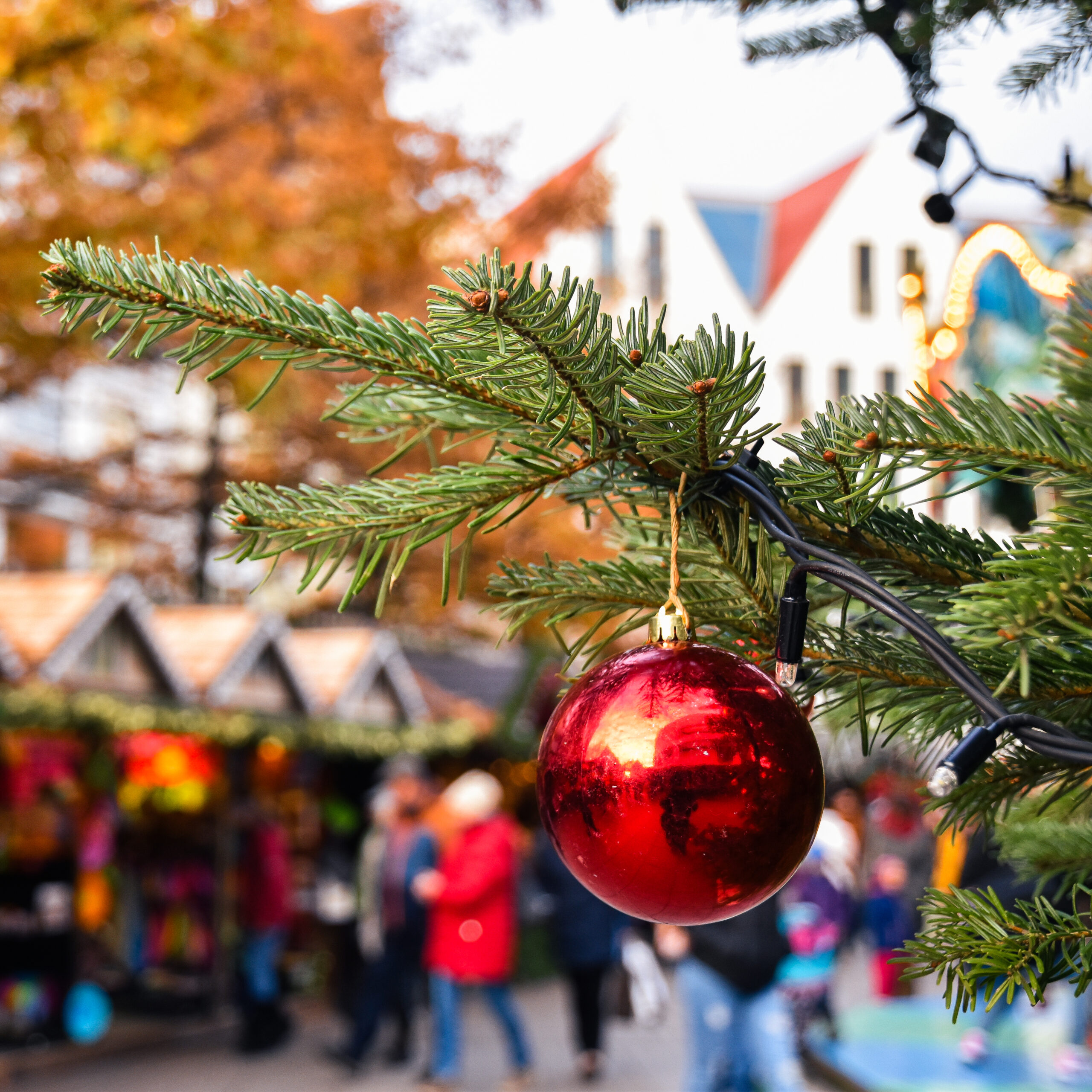Weihnachtsevents in Ulm 🎄