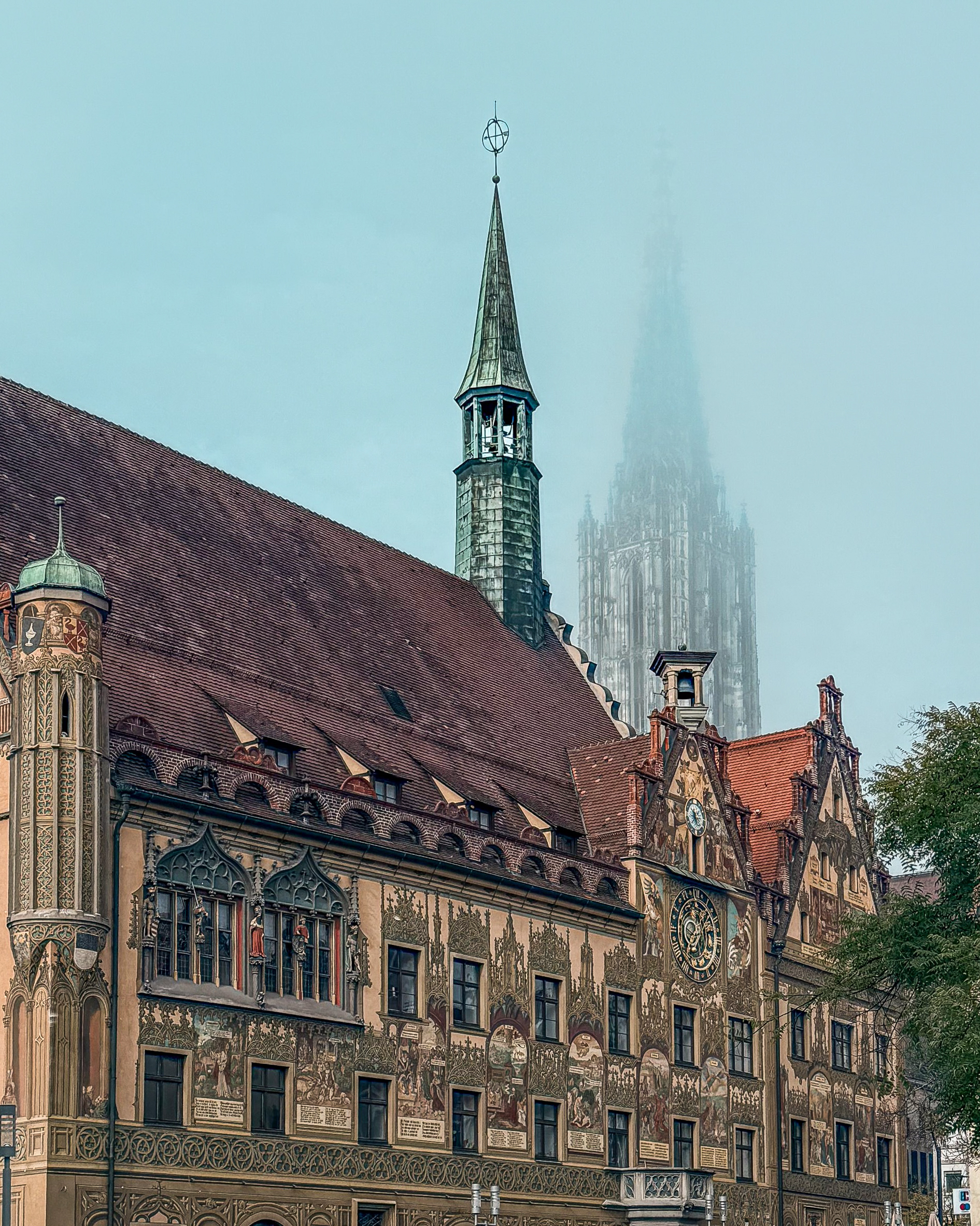 Herbst-Fotocontest 🍂📸